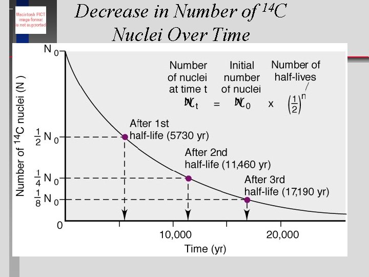Decrease in Number of 14 C Nuclei Over Time 