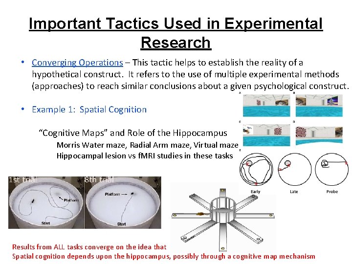 Important Tactics Used in Experimental Research • Converging Operations – This tactic helps to Important Tactics Used in Experimental Research • Converging Operations – This tactic helps to