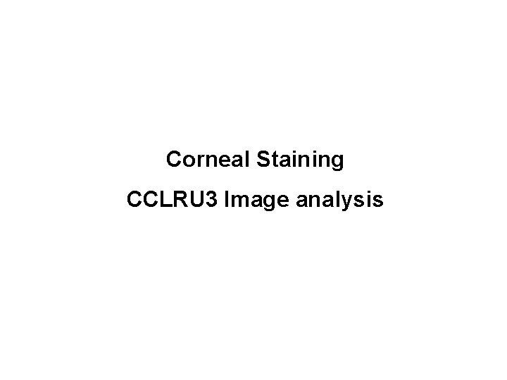 Corneal Staining CCLRU 3 Image analysis 