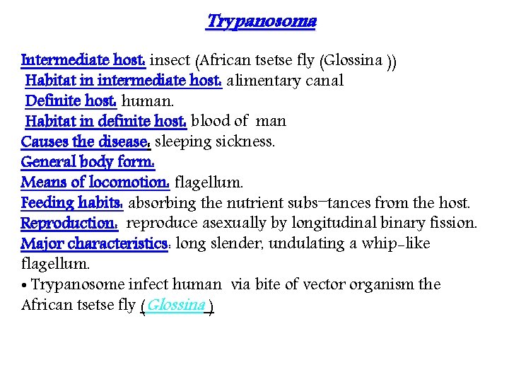 Trypanosoma Intermediate host: insect (African tsetse fly (Glossina )) Habitat in intermediate host: alimentary