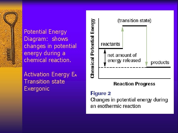 ENERGY METABOLISM ENERGY Energy is the capacity to