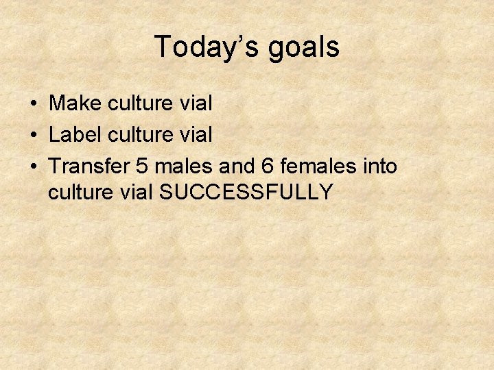 Today’s goals • Make culture vial • Label culture vial • Transfer 5 males Today’s goals • Make culture vial • Label culture vial • Transfer 5 males