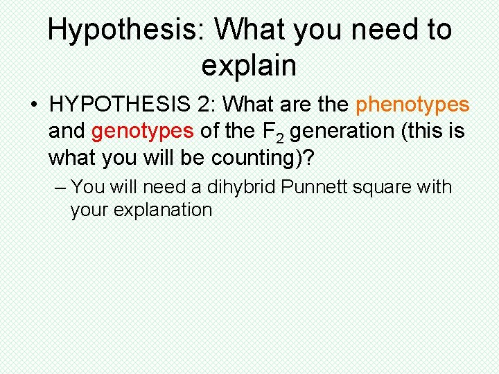 Hypothesis: What you need to explain • HYPOTHESIS 2: What are the phenotypes and Hypothesis: What you need to explain • HYPOTHESIS 2: What are the phenotypes and