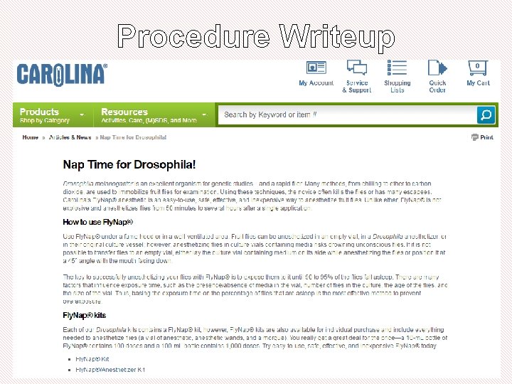 Procedure Writeup Procedure Writeup