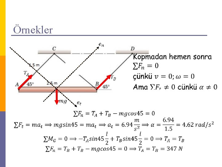 Örnekler 