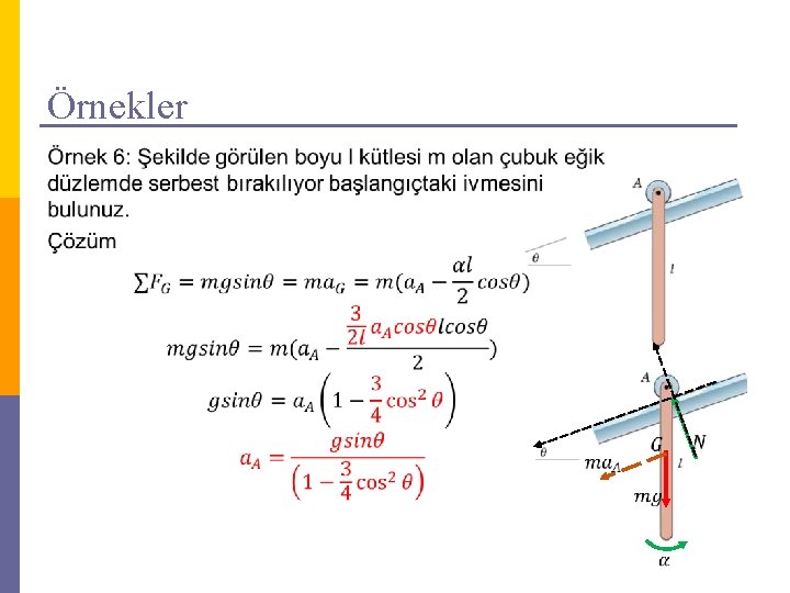 Örnekler 