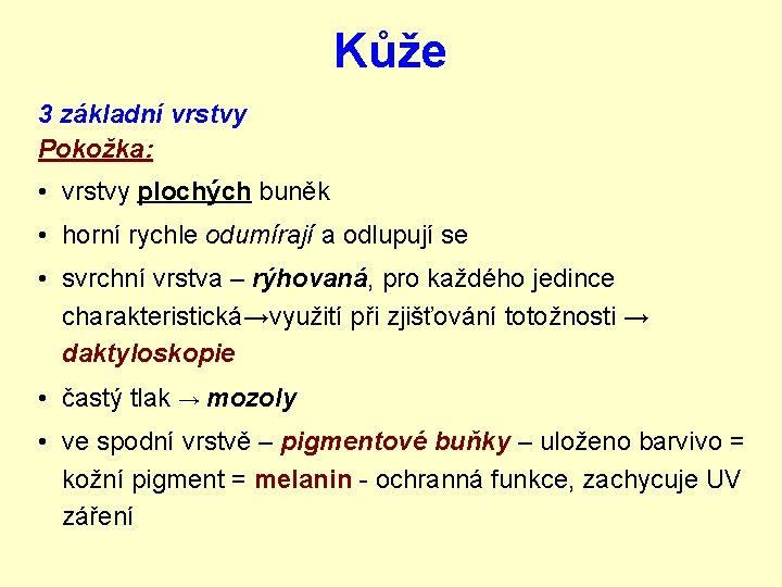 Kůže 3 základní vrstvy Pokožka: • vrstvy plochých buněk • horní rychle odumírají a