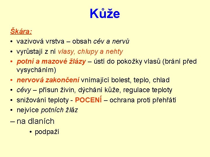 Kůže Škára: • vazivová vrstva – obsah cév a nervů • vyrůstají z ní