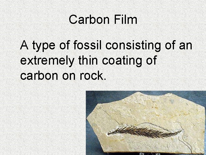 Carbon Film A type of fossil consisting of an extremely thin coating of carbon