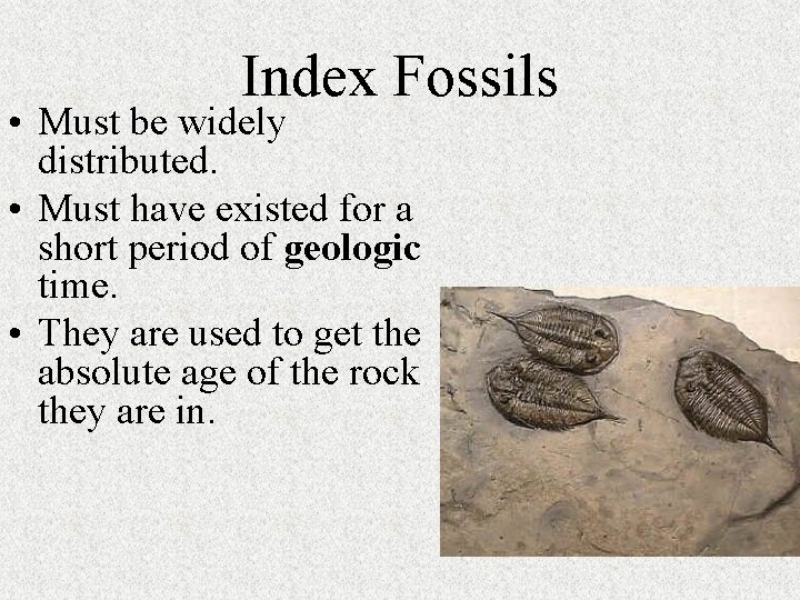 Index Fossils • Must be widely distributed. • Must have existed for a short