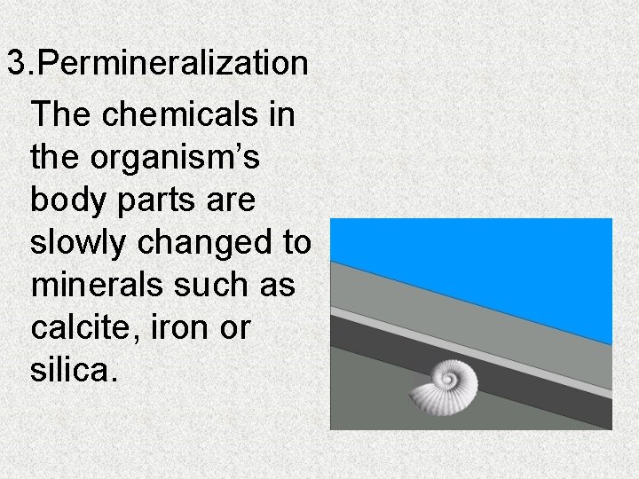 3. Permineralization The chemicals in the organism’s body parts are slowly changed to minerals