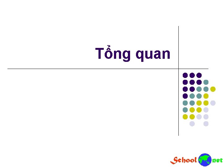 Tổng quan Tổng quan