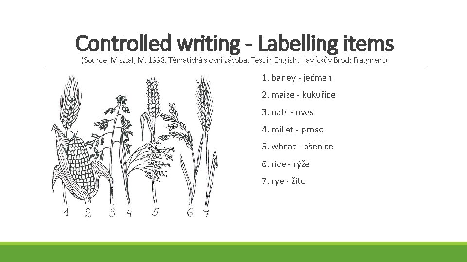 Controlled writing - Labelling items (Source: Misztal, M. 1998. Tématická slovní zásoba. Test in