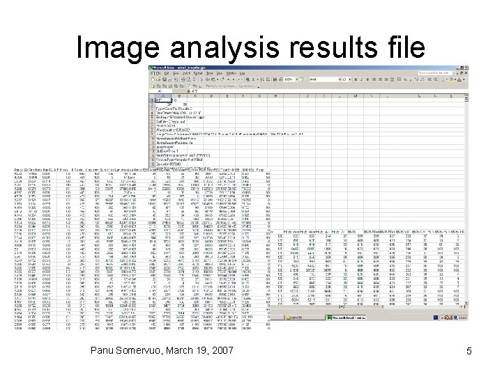 Image analysis results file Panu Somervuo, March 19, 2007 5 