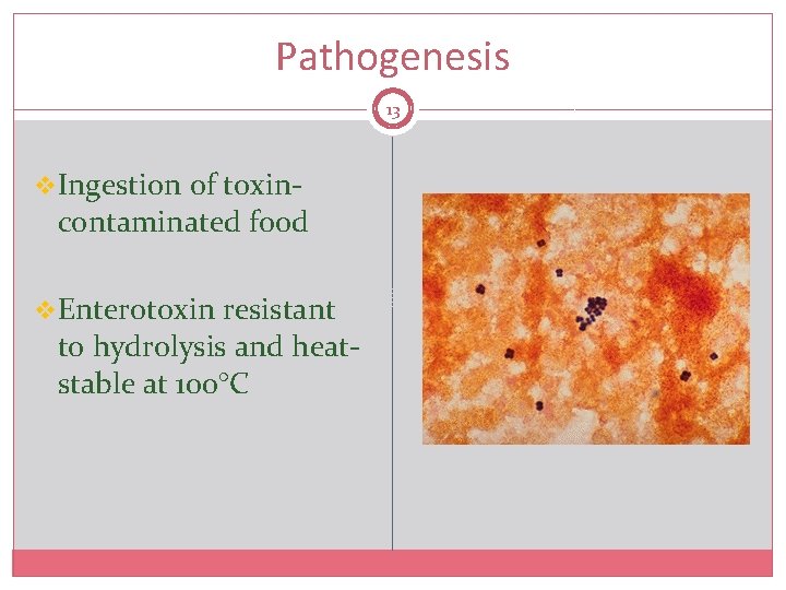 Pathogenesis 13 v. Ingestion of toxin- contaminated food v. Enterotoxin resistant to hydrolysis and
