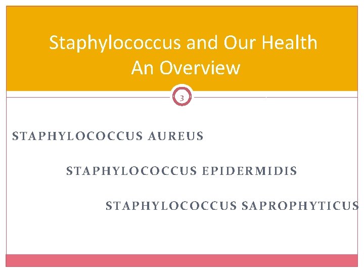 Staphylococcus and Our Health An Overview 3 STAPHYLOCOCCUS AUREUS STAPHYLOCOCCUS EPIDERMIDIS STAPHYLOCOCCUS SAPROPHYTICUS 