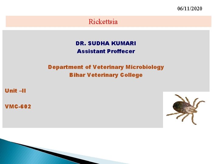 06/11/2020 Rickettsia DR. SUDHA KUMARI Assistant Proffecer Department of Veterinary Microbiology Bihar Veterinary College