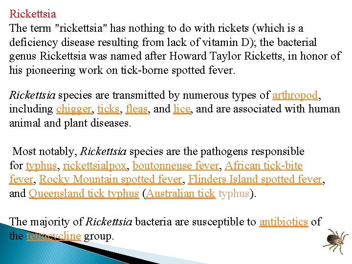 Rickettsia The term "rickettsia" has nothing to do with rickets (which is a deficiency