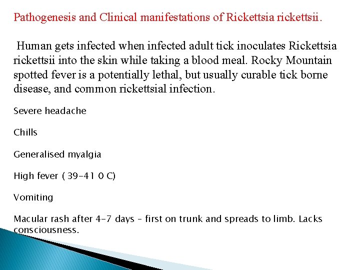 Pathogenesis and Clinical manifestations of Rickettsia rickettsii. Human gets infected when infected adult tick