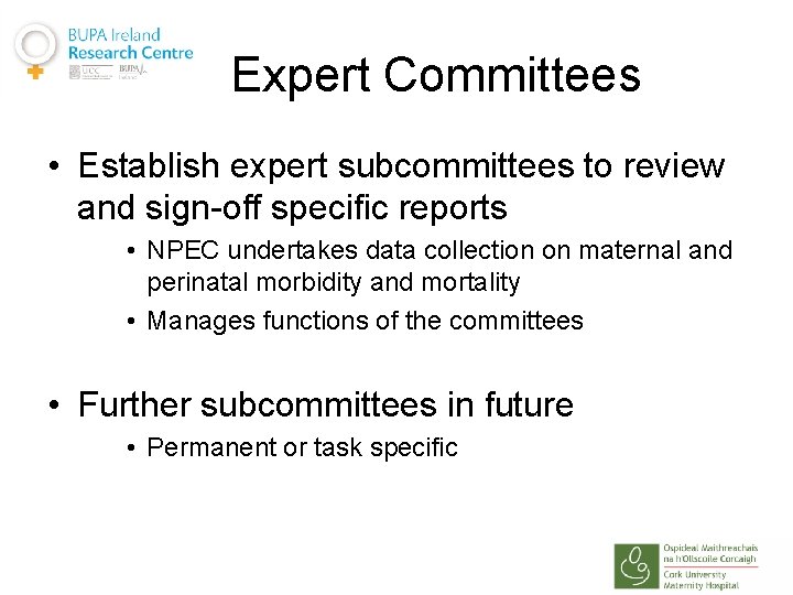 Expert Committees • Establish expert subcommittees to review and sign-off specific reports • NPEC