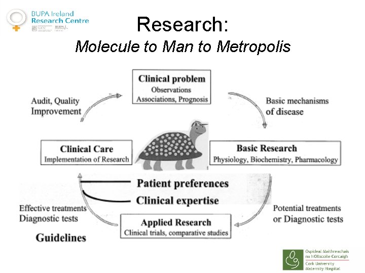Research: Molecule to Man to Metropolis 