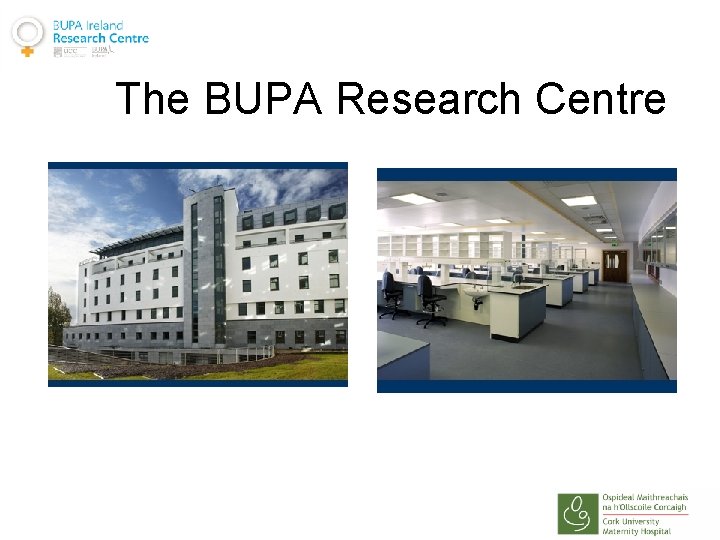 The BUPA Research Centre 
