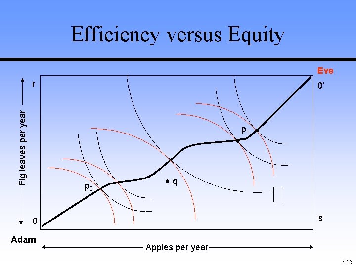 Efficiency versus Equity Eve Fig leaves per year r 0’ p 3 p 5 Efficiency versus Equity Eve Fig leaves per year r 0’ p 3 p 5