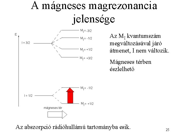 A mágneses magrezonancia jelensége Az MI kvantumszám megváltozásával járó átmenet, I nem változik. Mágneses