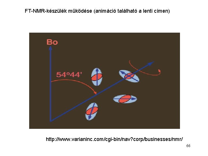 FT-NMR-készülék működése (animáció található a lenti címen) http: //www. varianinc. com/cgi-bin/nav? corp/businesses/nmr/ 66 