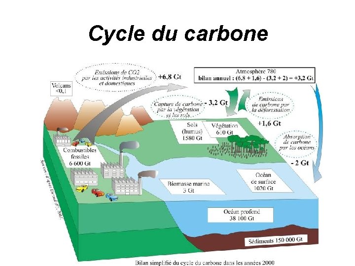 Cycle du carbone 