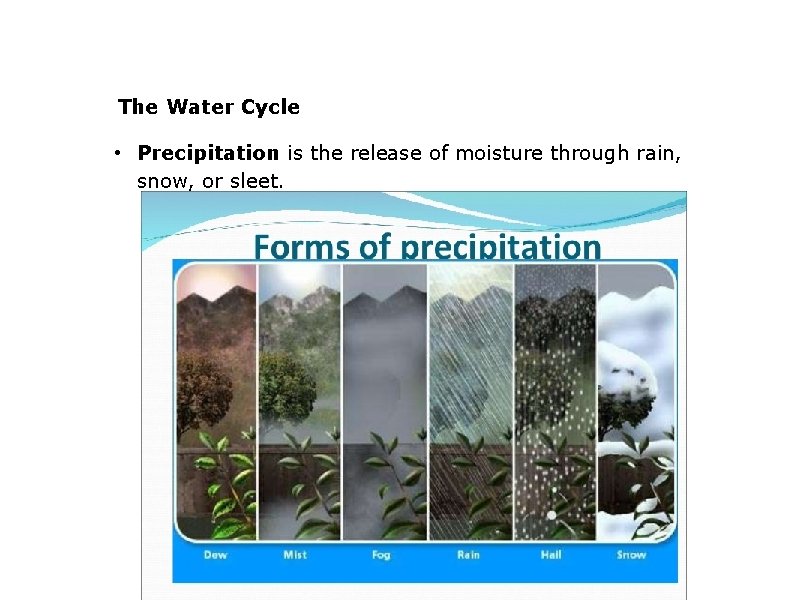 The Water Cycle • Precipitation is the release of moisture through rain, snow, or