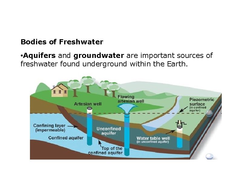 Bodies of Freshwater • Aquifers and groundwater are important sources of freshwater found underground