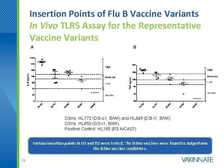 Insertion Points of Flu B Vaccine Variants In Vivo TLR 5 Assay for the