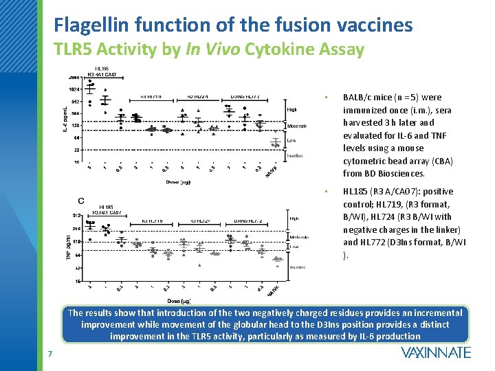 Flagellin function of the fusion vaccines TLR 5 Activity by In Vivo Cytokine Assay