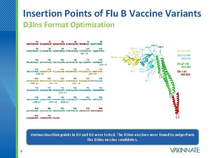 Insertion Points of Flu B Vaccine Variants D 3 Ins Format Optimization Various insertion