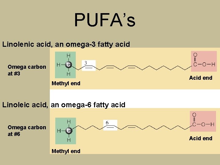 PUFA’s Linolenic acid, an omega-3 fatty acid Omega carbon at #3 Methyl end Acid
