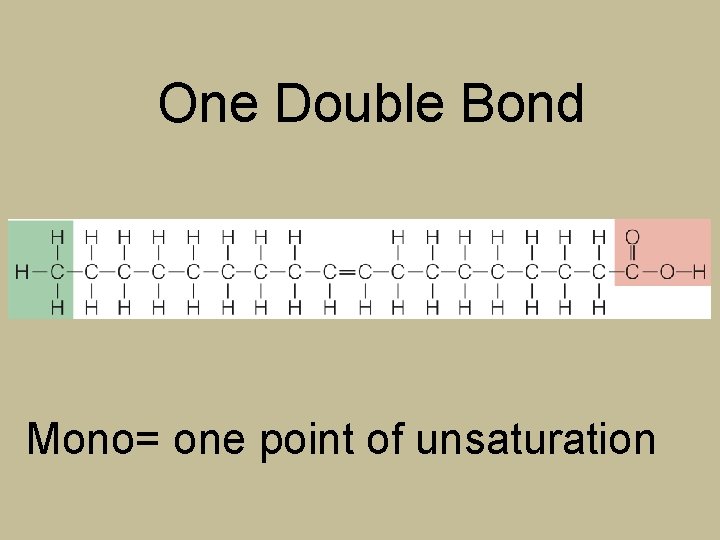 One Double Bond Mono= one point of unsaturation 