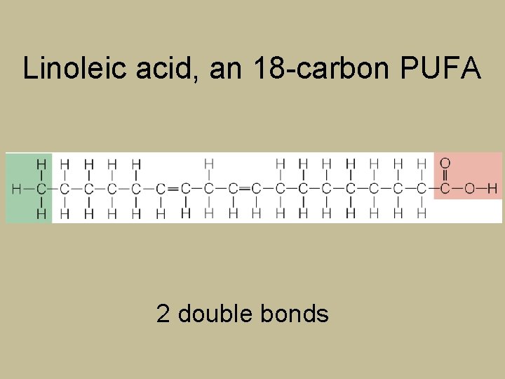 Linoleic acid, an 18 -carbon PUFA 2 double bonds 