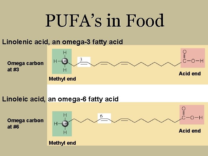 PUFA’s in Food Linolenic acid, an omega-3 fatty acid Omega carbon at #3 Methyl