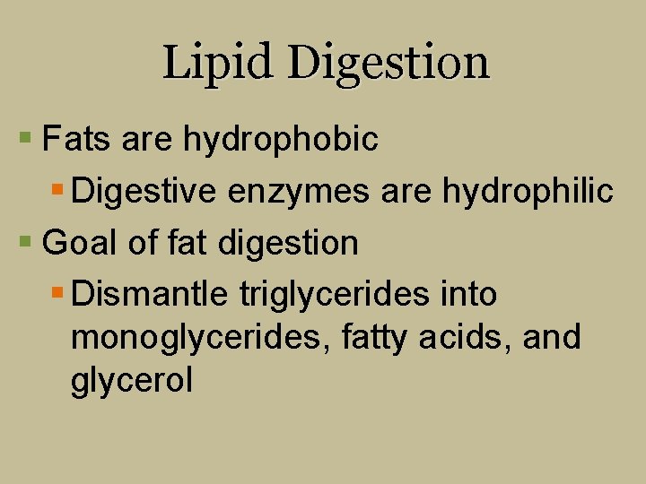Lipid Digestion § Fats are hydrophobic § Digestive enzymes are hydrophilic § Goal of