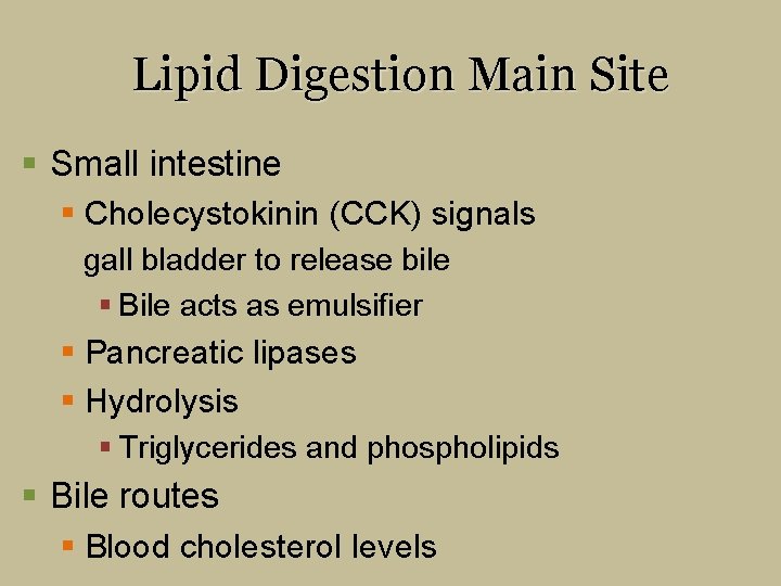 Lipid Digestion Main Site § Small intestine § Cholecystokinin (CCK) signals gall bladder to