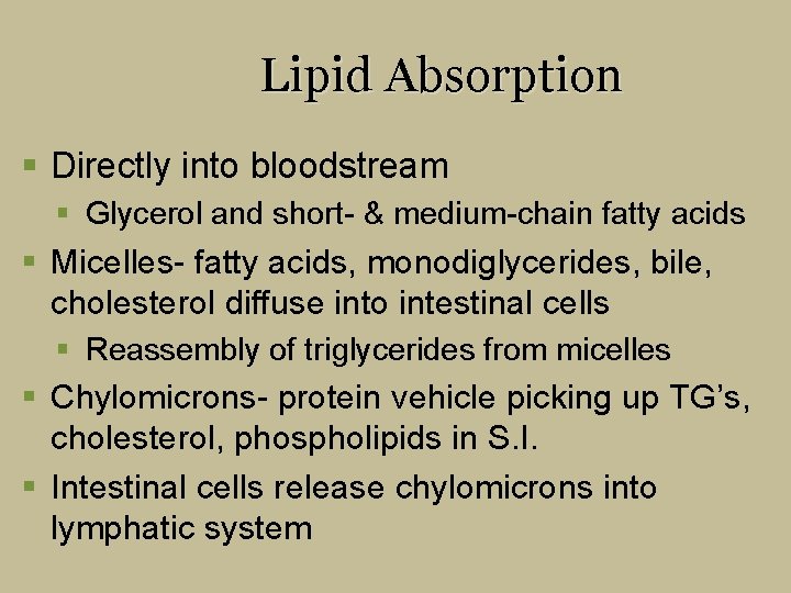 Lipid Absorption § Directly into bloodstream § Glycerol and short- & medium-chain fatty acids