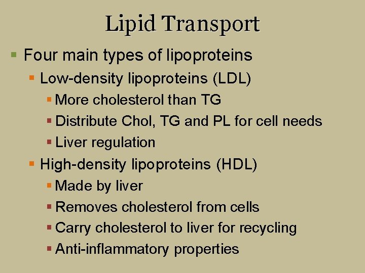 Lipid Transport § Four main types of lipoproteins § Low-density lipoproteins (LDL) § More