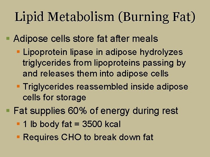 Lipid Metabolism (Burning Fat) § Adipose cells store fat after meals § Lipoprotein lipase