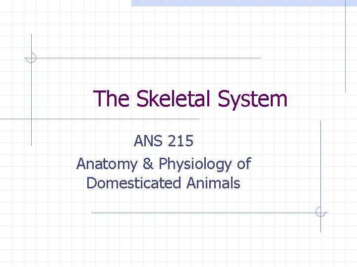 The Skeletal System ANS 215 Anatomy & Physiology of Domesticated Animals The Skeletal System ANS 215 Anatomy & Physiology of Domesticated Animals