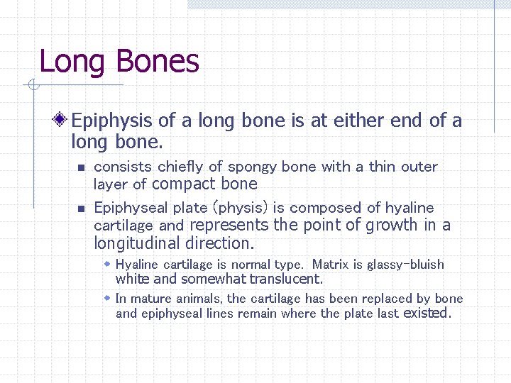 Long Bones Epiphysis of a long bone is at either end of a long Long Bones Epiphysis of a long bone is at either end of a long