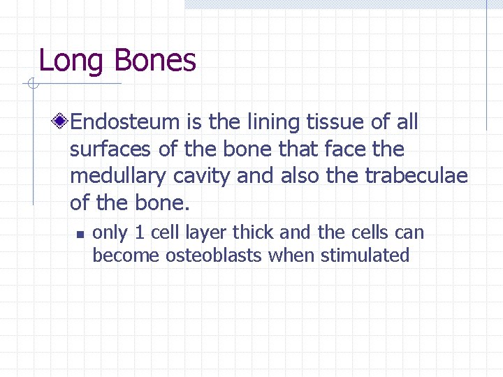 Long Bones Endosteum is the lining tissue of all surfaces of the bone that Long Bones Endosteum is the lining tissue of all surfaces of the bone that
