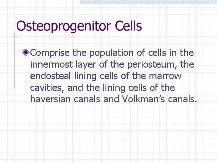 Osteoprogenitor Cells Comprise the population of cells in the innermost layer of the periosteum, Osteoprogenitor Cells Comprise the population of cells in the innermost layer of the periosteum,