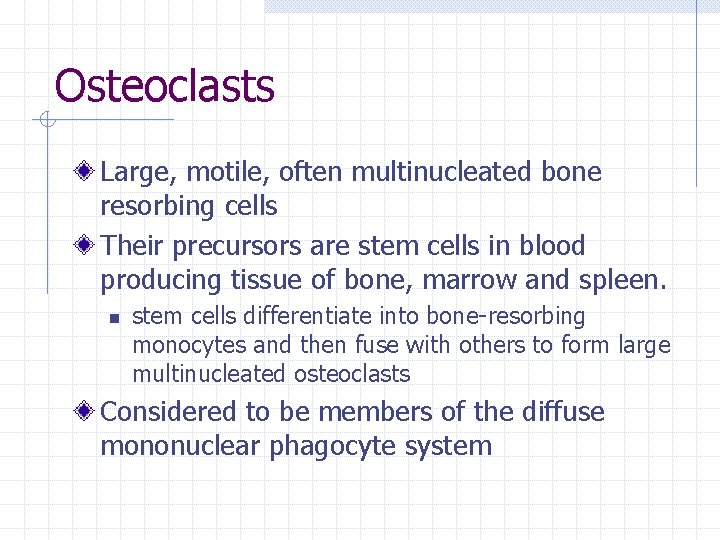 Osteoclasts Large, motile, often multinucleated bone resorbing cells Their precursors are stem cells in Osteoclasts Large, motile, often multinucleated bone resorbing cells Their precursors are stem cells in