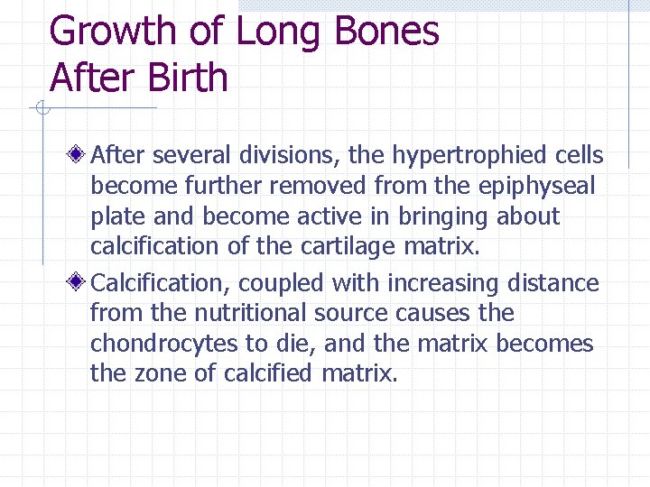 Growth of Long Bones After Birth After several divisions, the hypertrophied cells become further Growth of Long Bones After Birth After several divisions, the hypertrophied cells become further